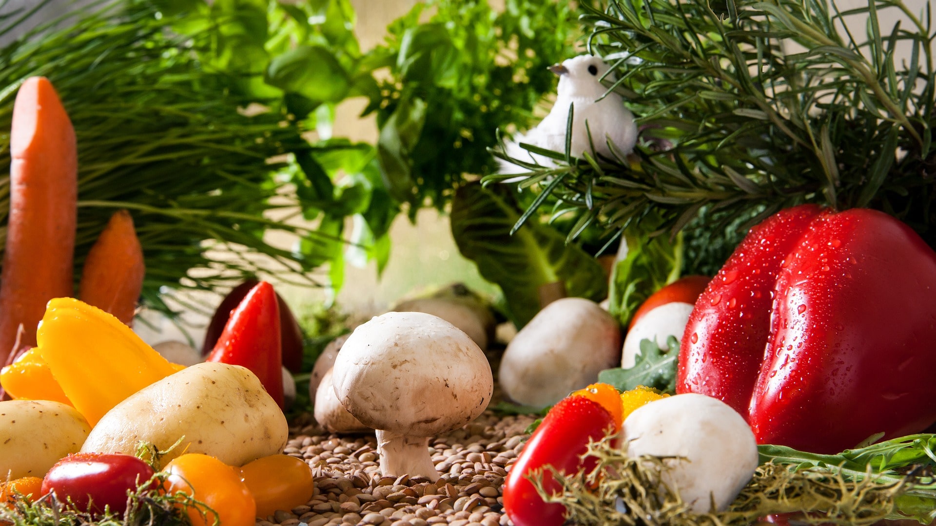verduras sanas y nutritivas